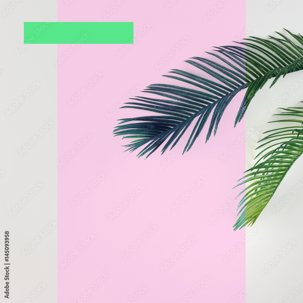 Obraz na płótnie Tropical palm leaves on bright