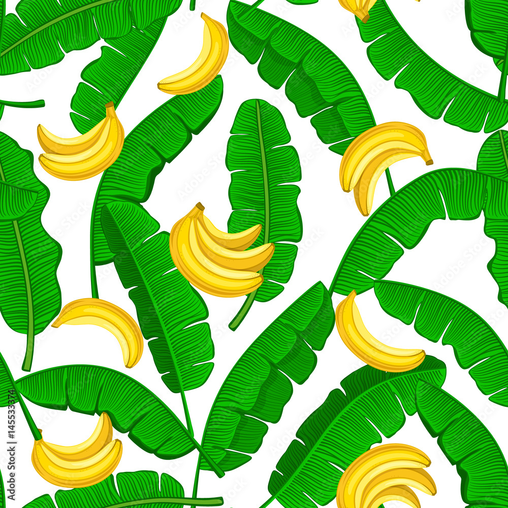 Tapeta Bananas and Banana Palm Leaves