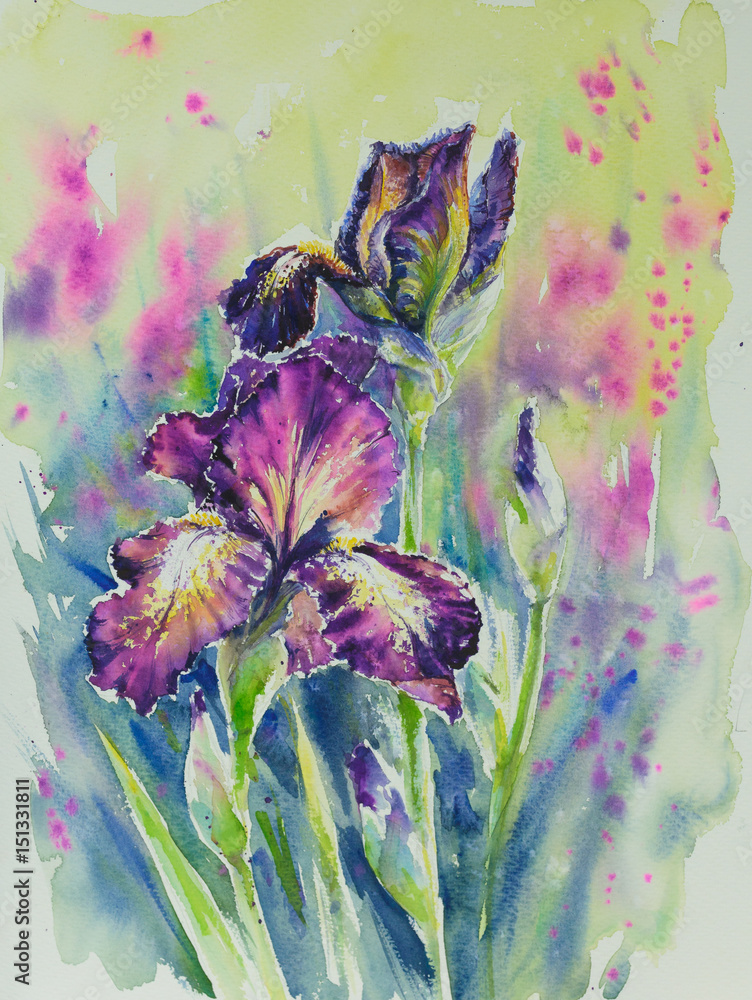 Obraz Tryptyk Watarecolors painted iris