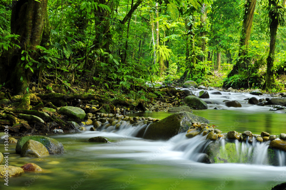 Obraz na płótnie Mountain stream