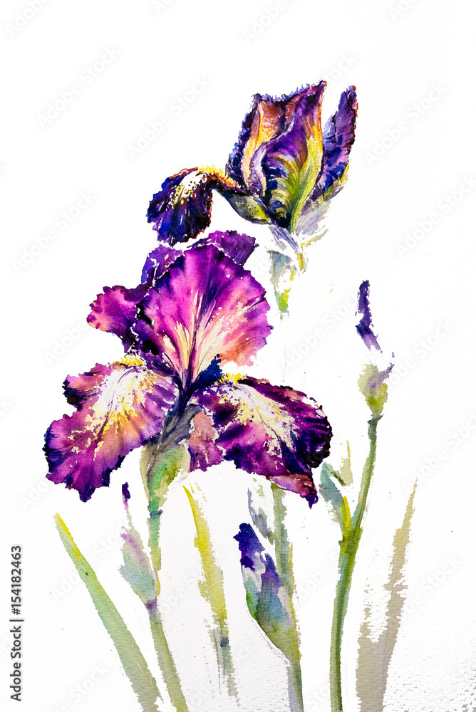 Obraz Dyptyk Watarecolors painted iris