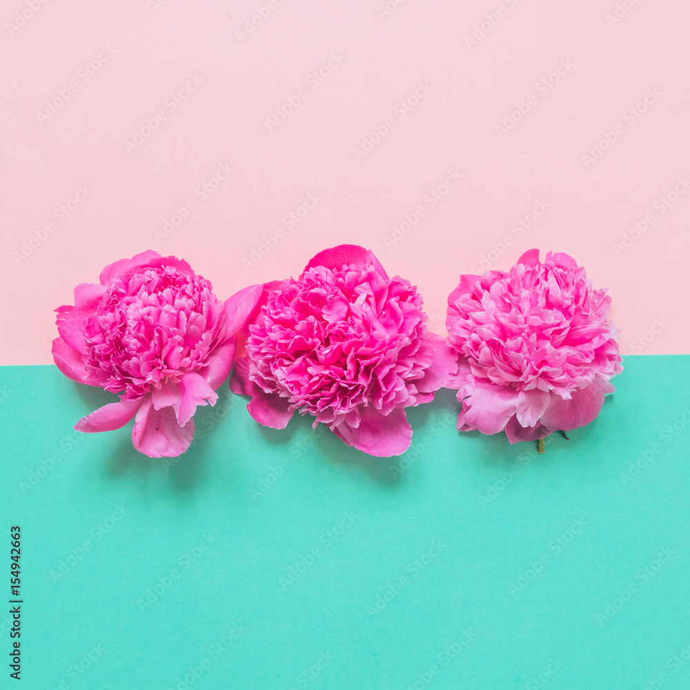 Obraz Dyptyk three buds of peonies on pink
