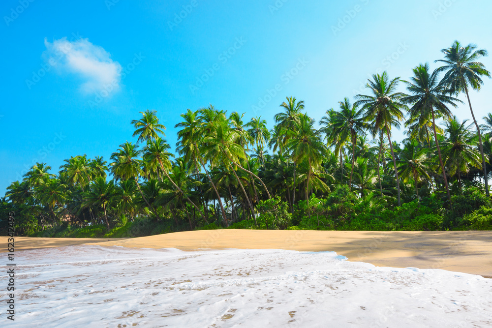 Fototapeta Beach on tropical island with
