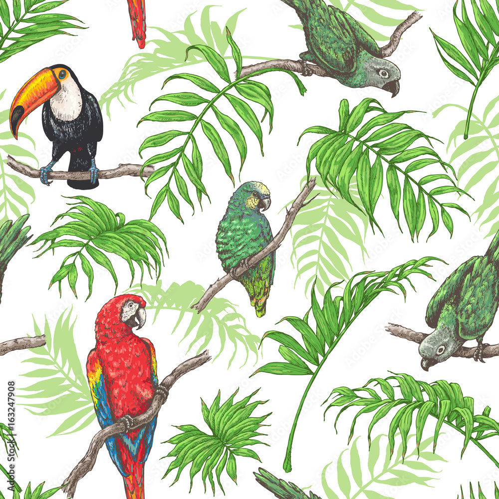 Tapeta Parrots,  Toucan and Palm