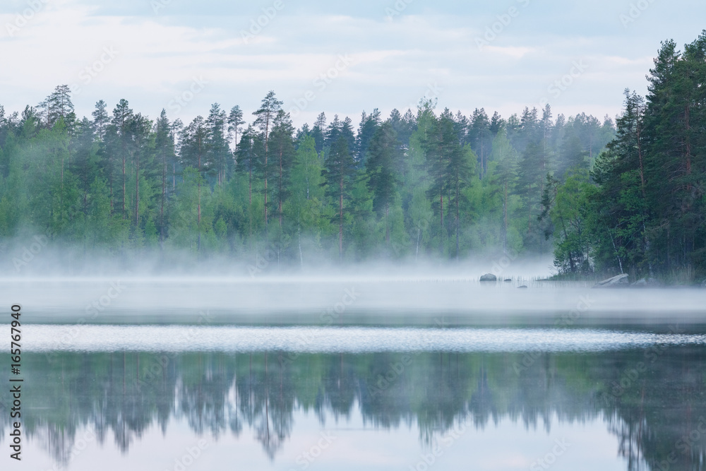 Fototapeta Foggy calm lake and forest at