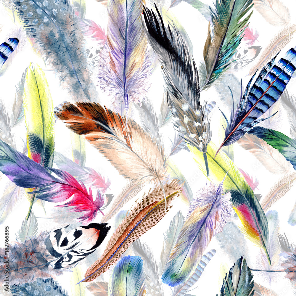 Fototapeta Watercolor bird feather