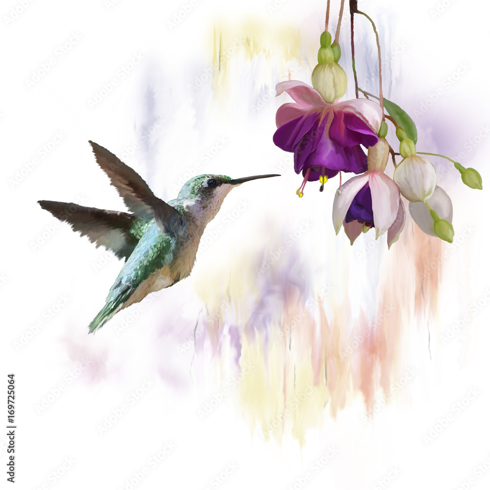 Fototapeta Hummingbird and flowers