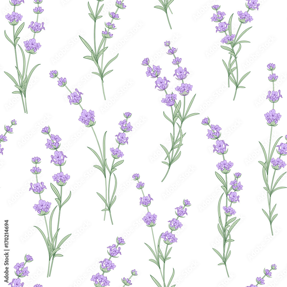 Tapeta Seamless pattern of lavender