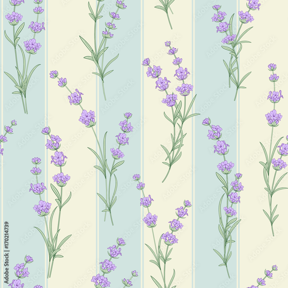 Tapeta Seamless pattern of lavender