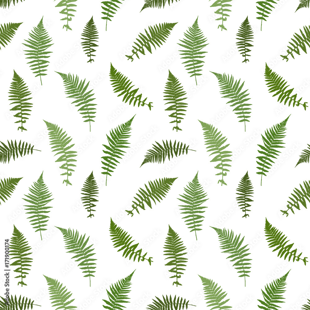 Tapeta Fern Leaf Vector Background