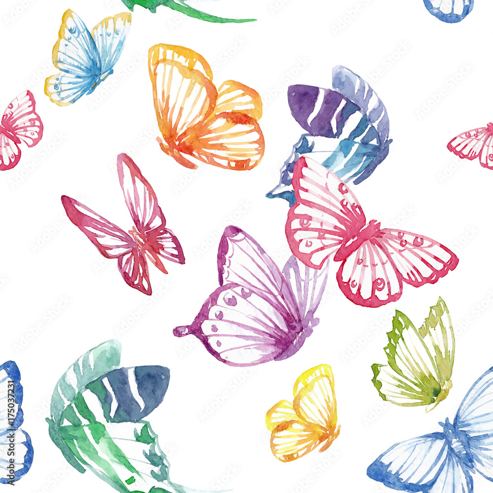 Tapeta Watercolor butterfly vector
