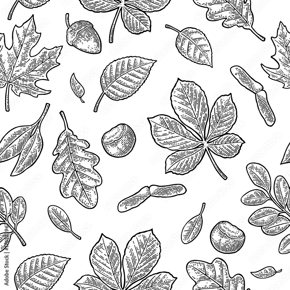 Tapeta Seamless pattern leafs, acorn,
