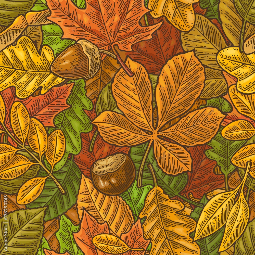 Tapeta Seamless pattern leafs, acorn,