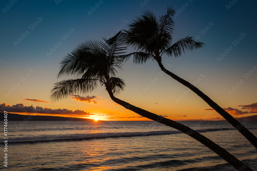 Fototapeta Silhouette of 2 palm trees at
