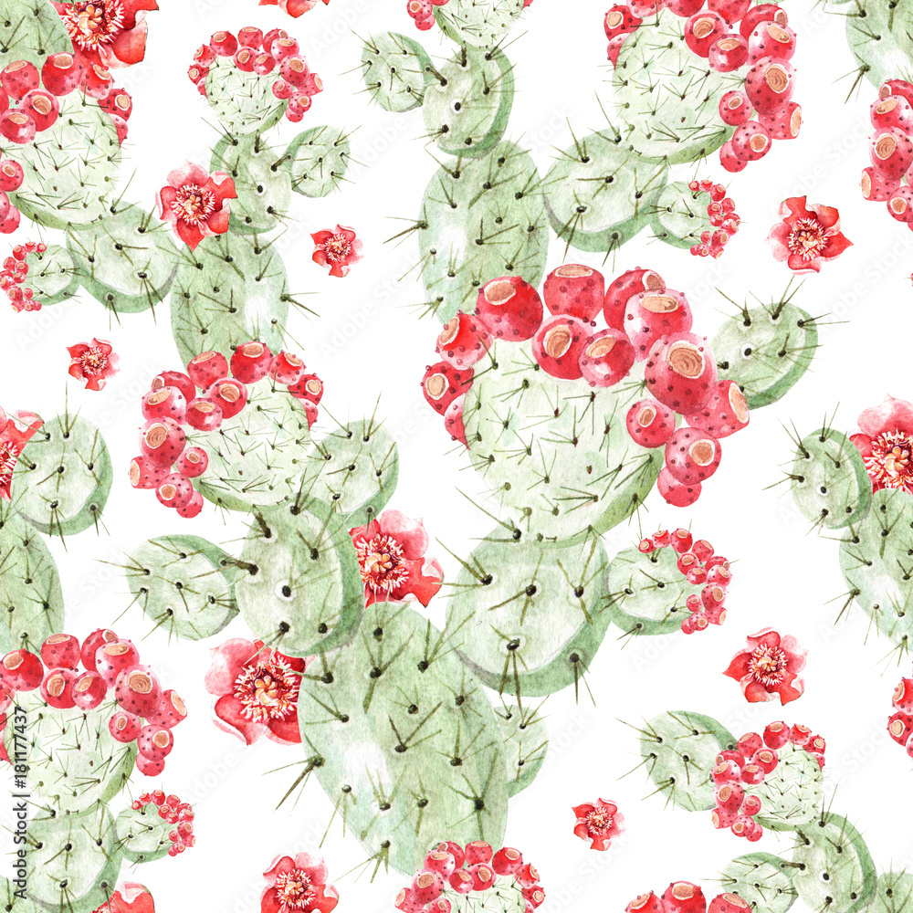Tapeta Watercolor pattern with cactus