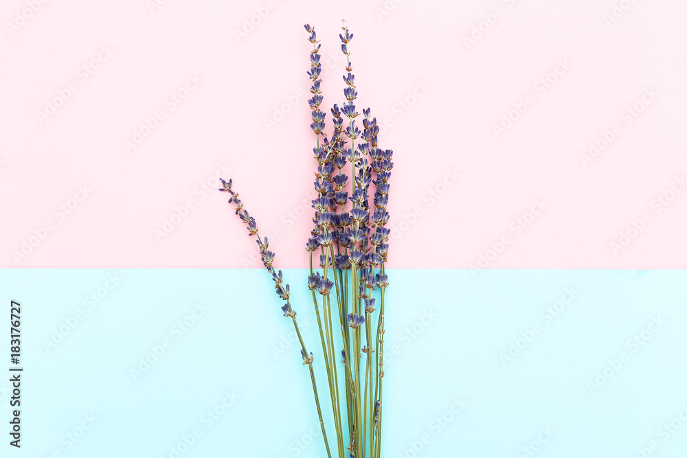 Fototapeta Twigs of lavender on a