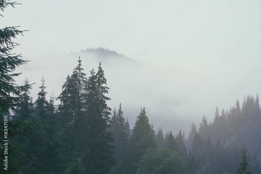 Fototapeta Misty landscape with mountains