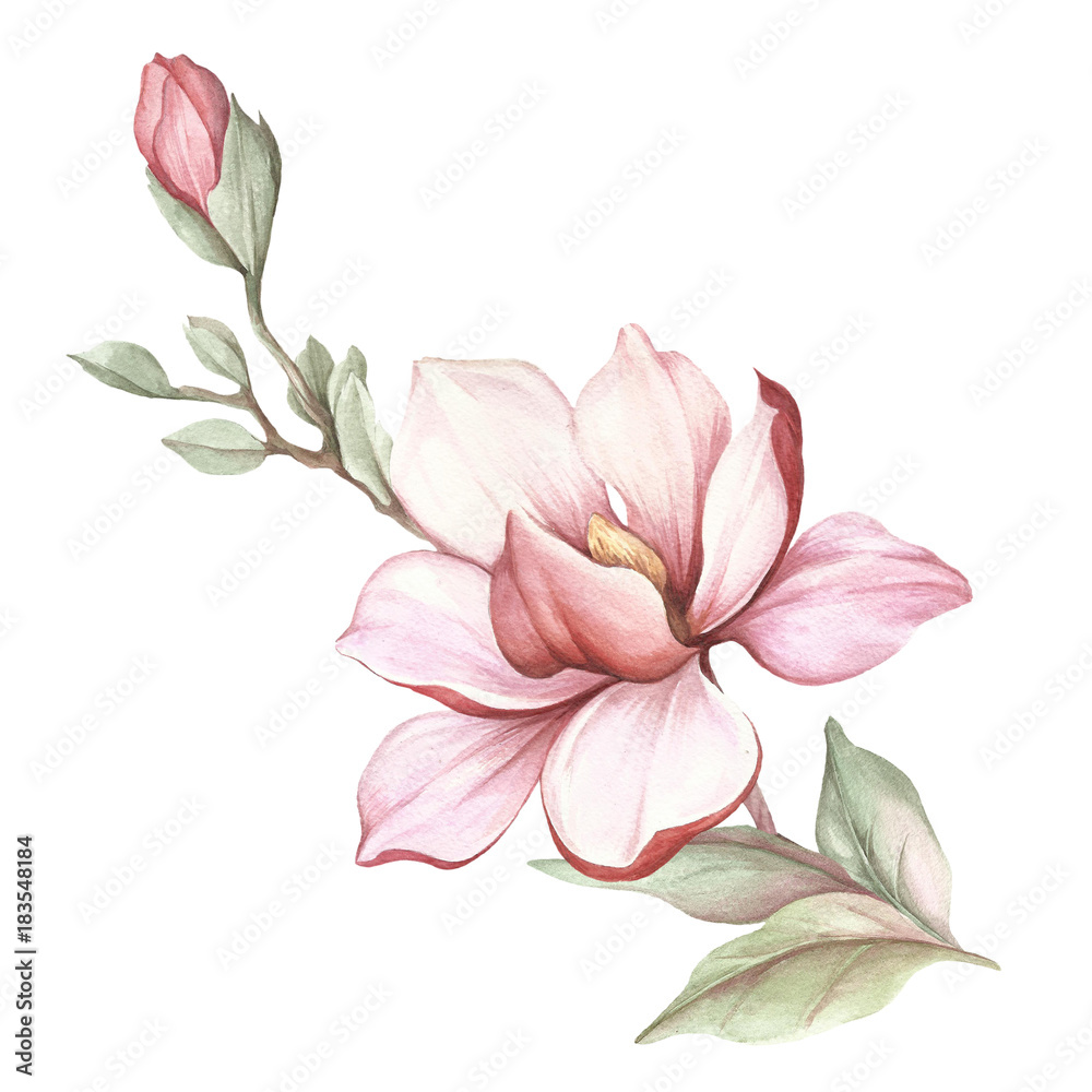 Obraz Dyptyk Image of blooming magnolia