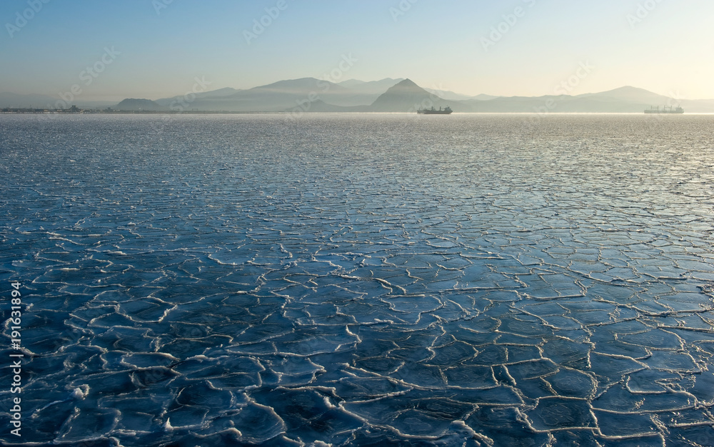 Obraz na płótnie Pattern on the ice of the