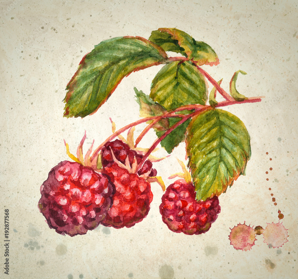 Obraz Dyptyk A branch of raspberry -