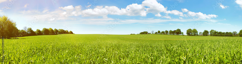 Obraz Pentaptyk Wiese Panorama