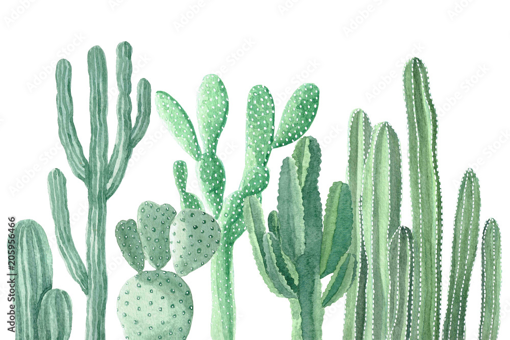 Fototapeta Watercolor Cactus and