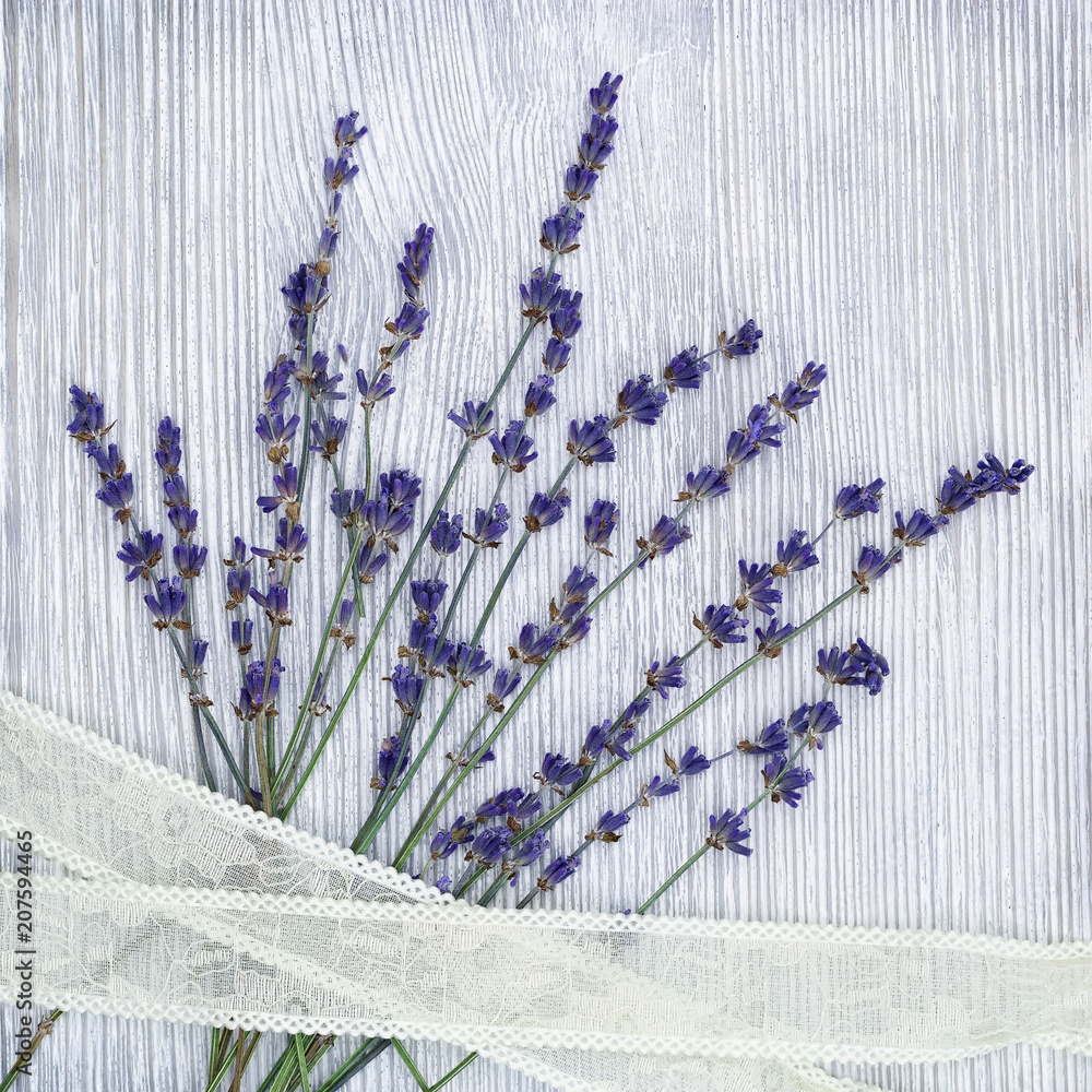 Obraz Tryptyk Small flowers of lavender with