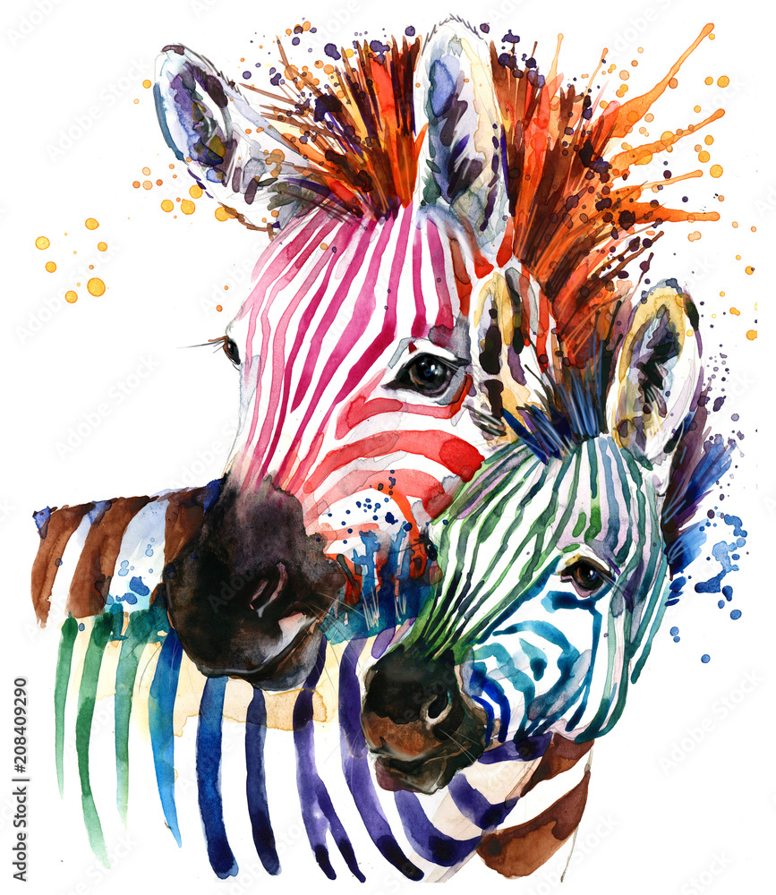 Obraz Tryptyk zebra illustration with splash