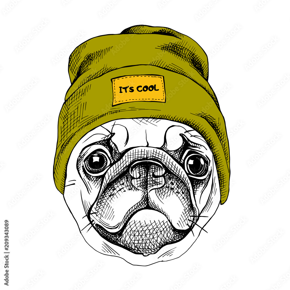 Obraz Kwadryptyk Portrait of the Pug in a