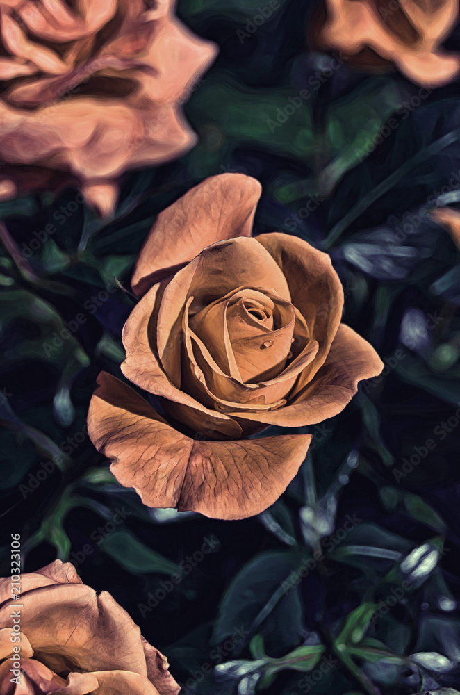Obraz Pentaptyk Roses in the garden.