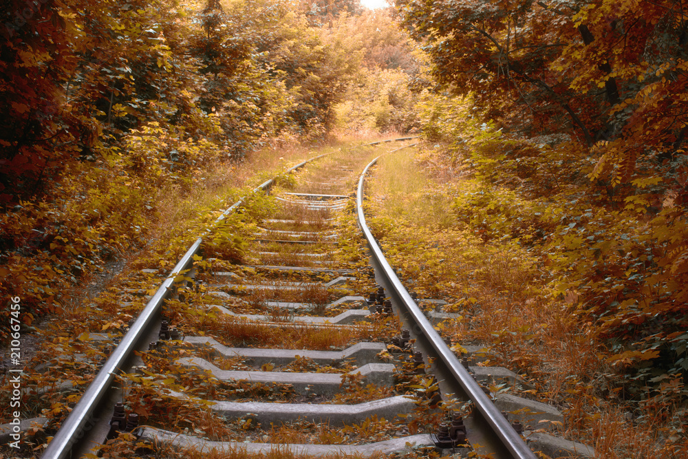 Obraz Pentaptyk Railway track in autumn