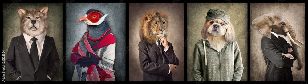 Obraz Kwadryptyk Animals in clothes. Concept