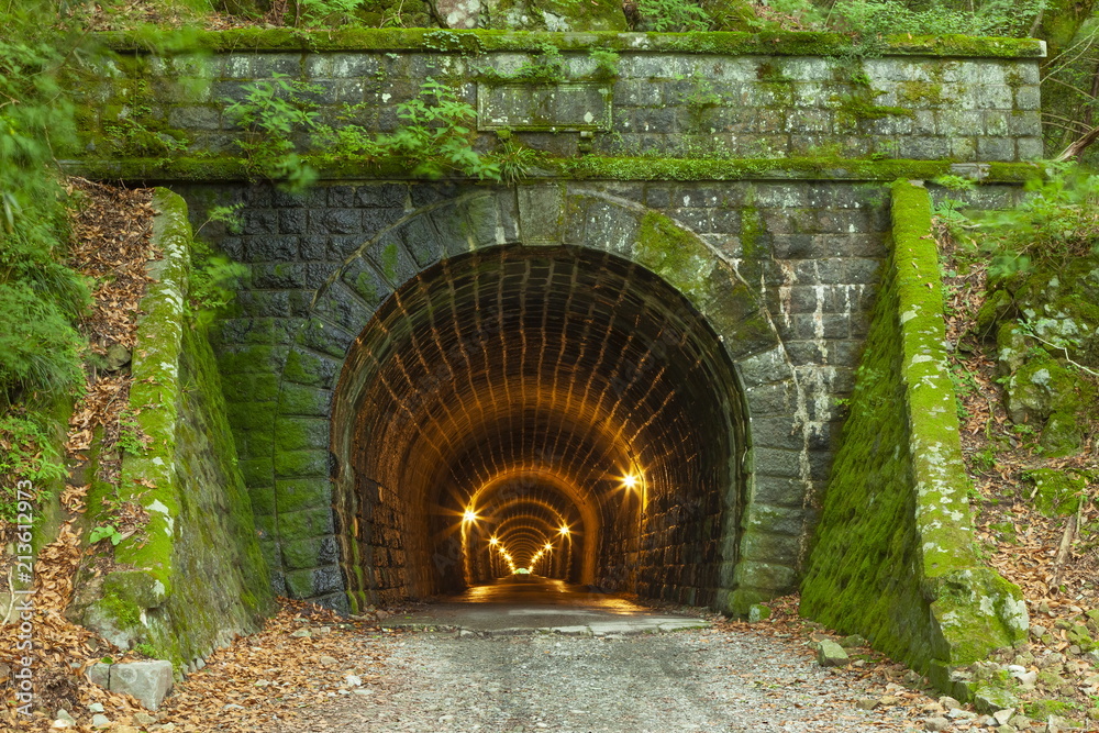 Obraz Kwadryptyk 伊豆市側から見た旧天城トンネル、静岡県伊豆市にて