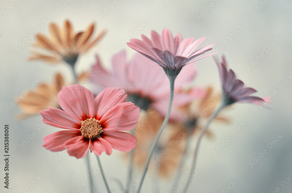 Obraz Pentaptyk Bukiet pastelowych kwiatów