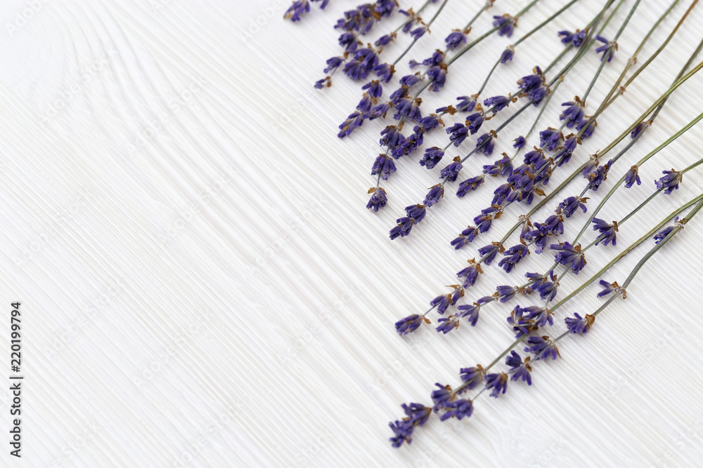 Obraz na płótnie Dried flowers of lavender on