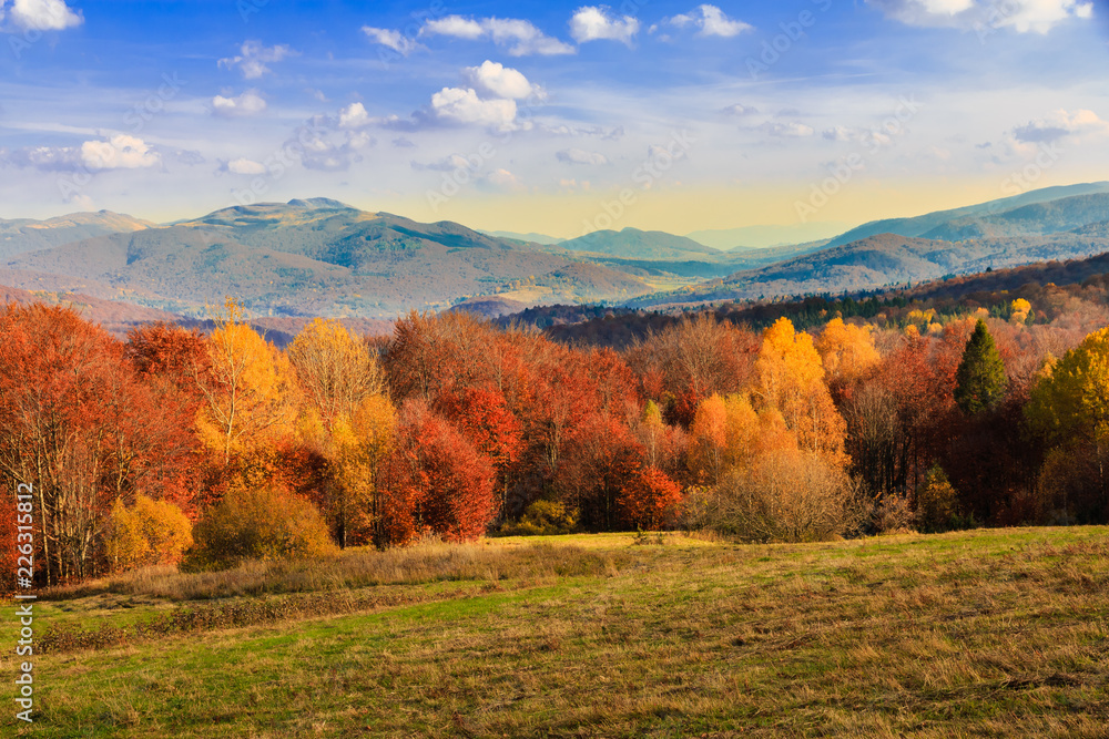 Fototapeta autumn in the mountains,