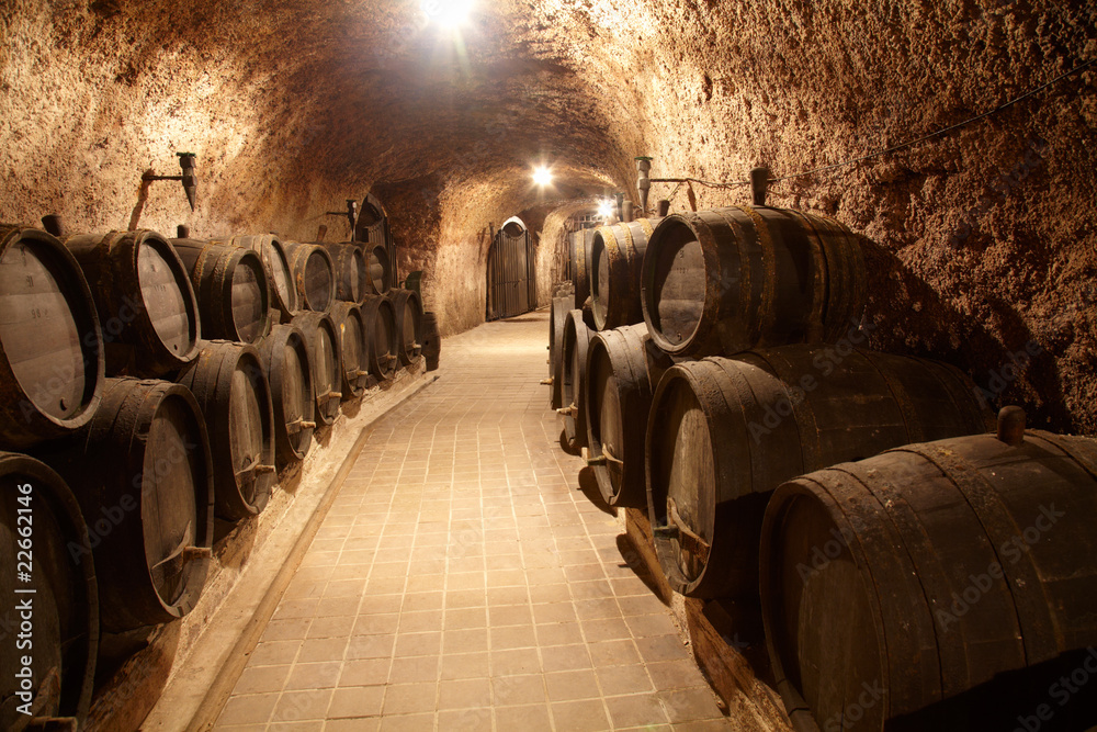 Fototapeta Corridor in winery