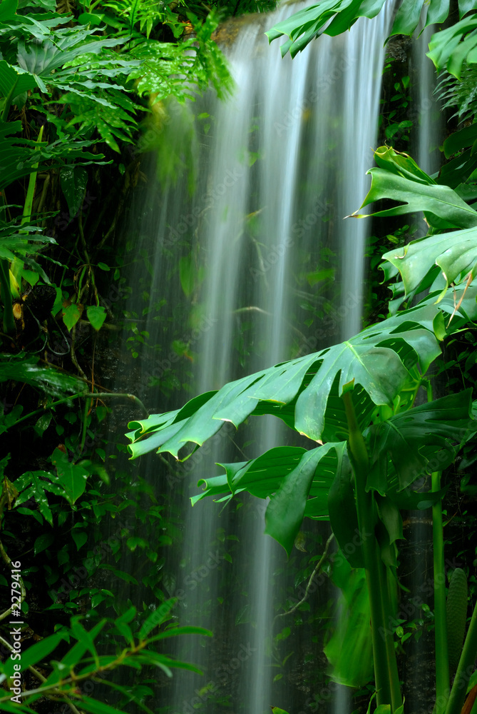 Obraz Pentaptyk waterfall in the rainforest