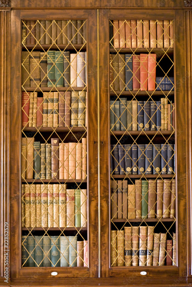 Fototapeta Bookcase