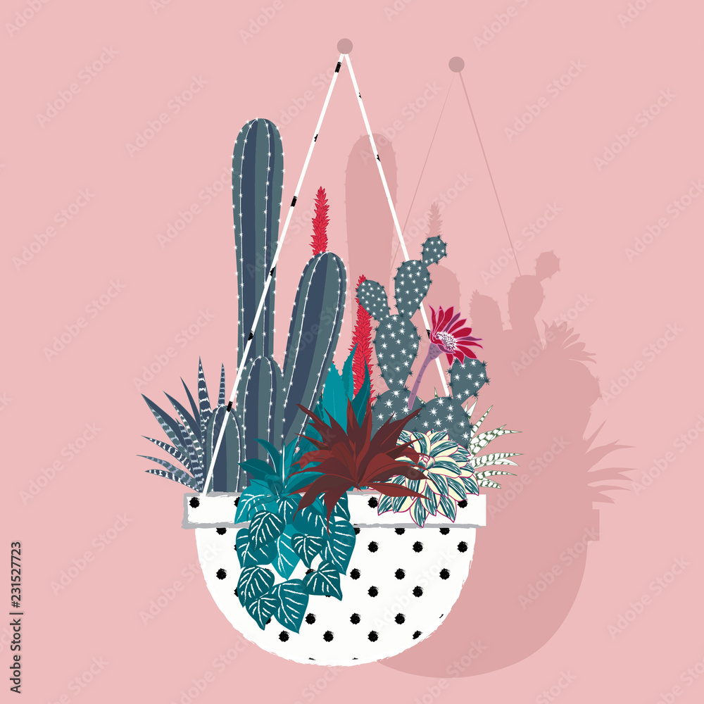 Obraz Kwadryptyk Cactus with flower and aloe