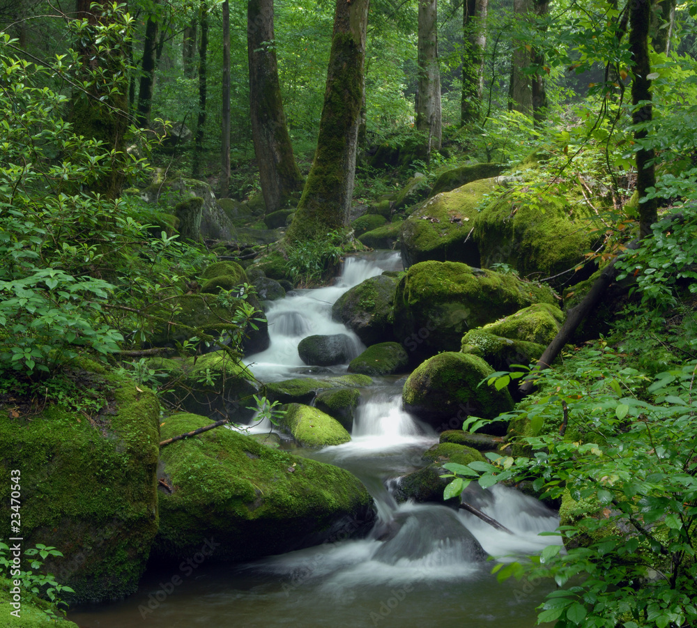 Fototapeta Mossy waterfall