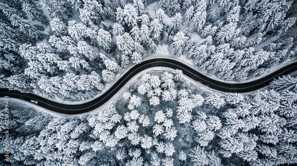 Obraz Tryptyk Driving in forest after