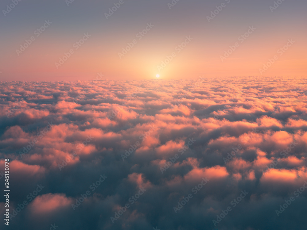 Fototapeta above sea of fog at sunrise