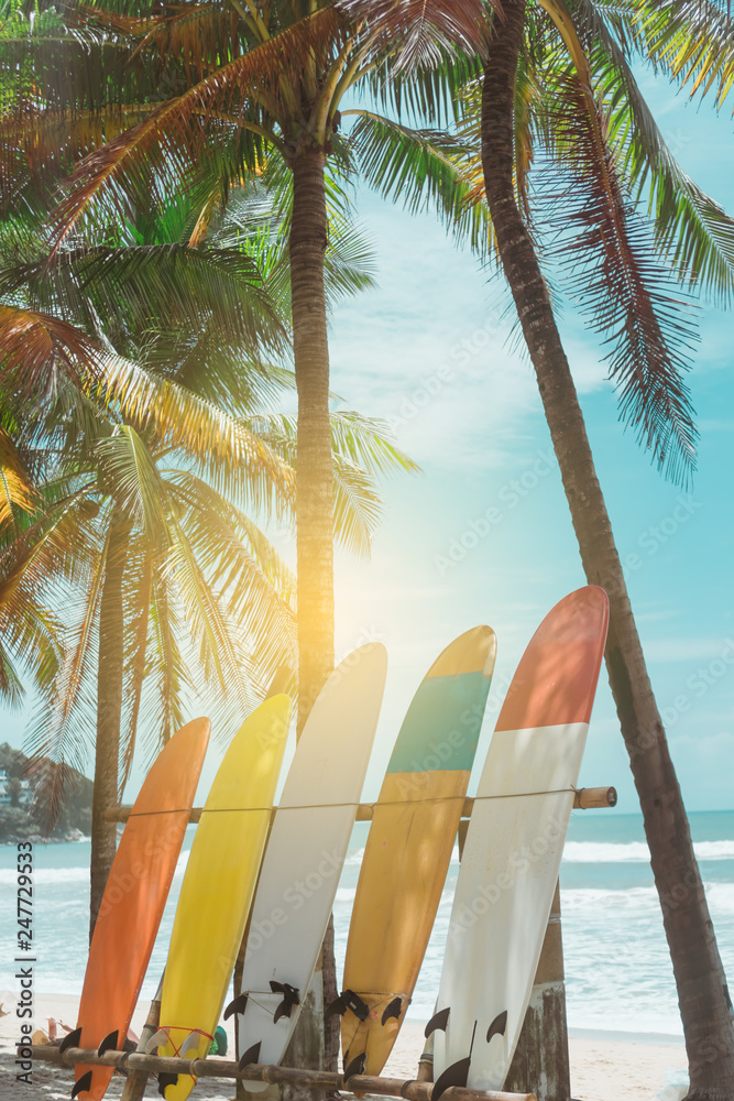 Fototapeta Many surfboards beside coconut