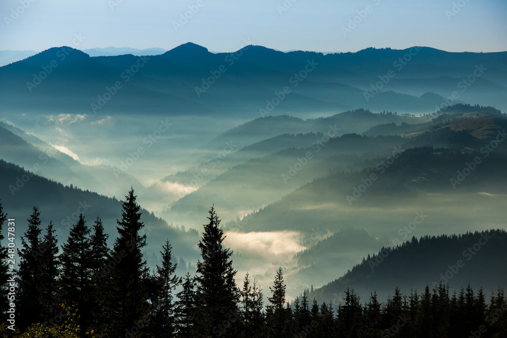 Fototapeta The Carpathians mountains