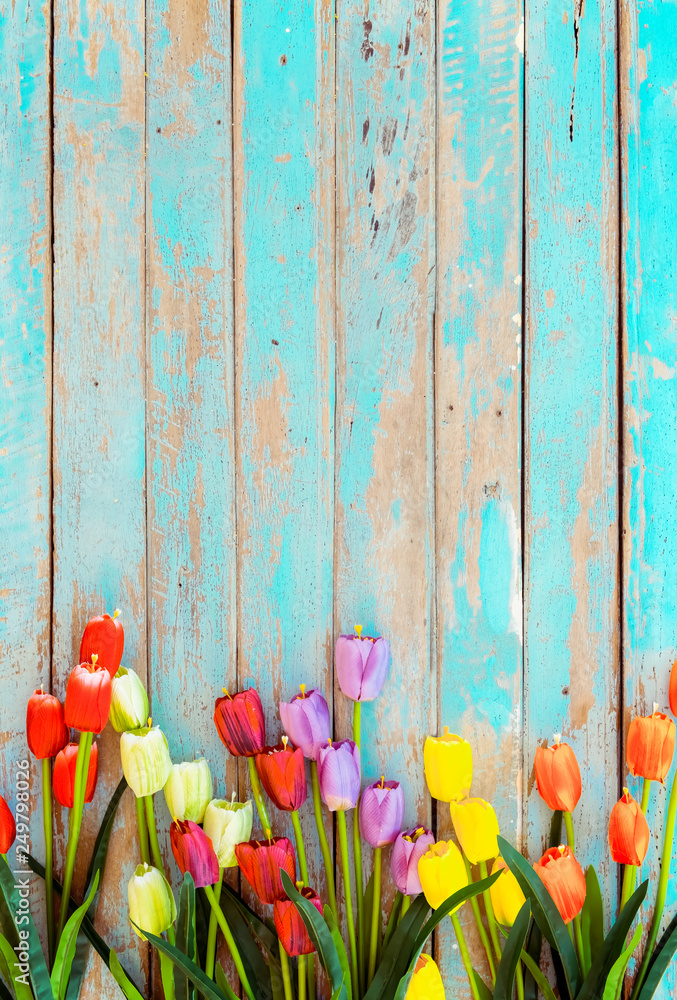 Obraz Dyptyk Tulip blossom flowers on