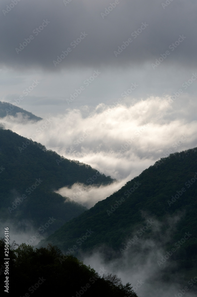 Fototapeta Mist in the Valley