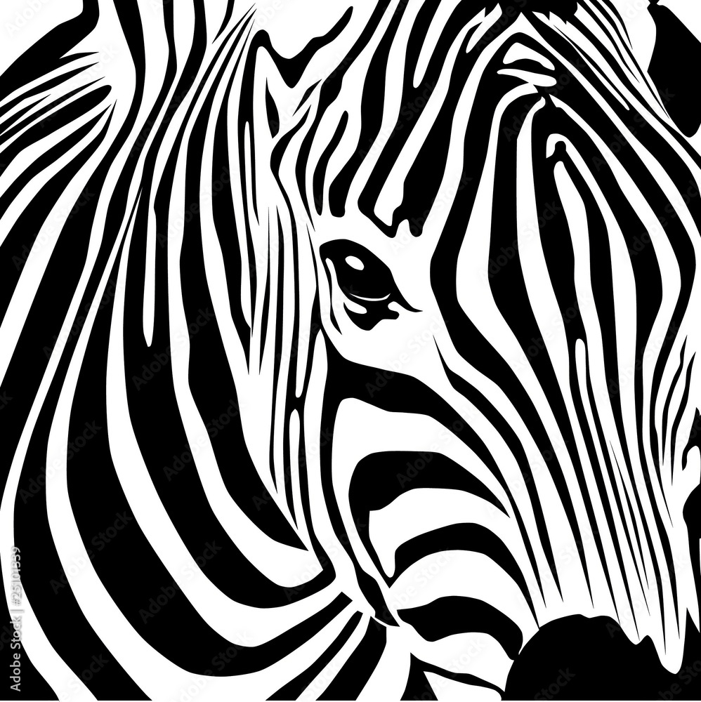 Obraz Pentaptyk Zebra