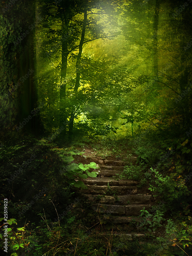 Obraz Pentaptyk Forest Trail