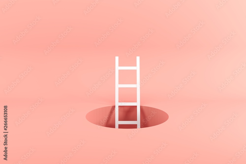 Obraz na płótnie Outstanding white ladder
